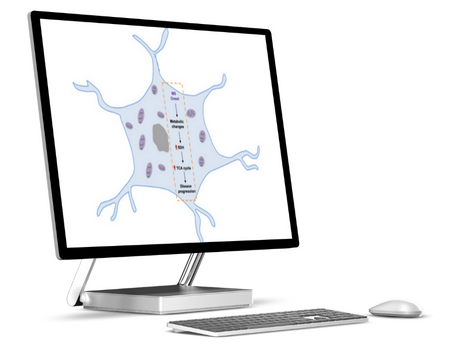 thumb_project_MetabolicMS_v1